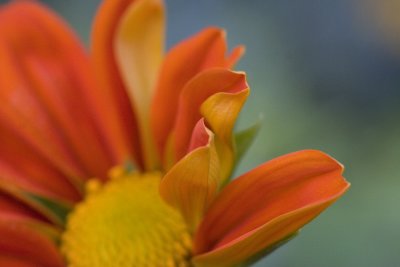 _MG_571420061028.jpg
