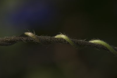 _MG_575820061028.jpg
