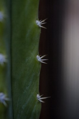 _MG_580520061028.jpg