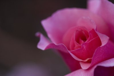 _MG_588220061029.jpg