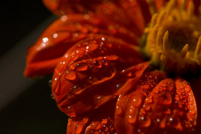 _MG_645520061105.jpg