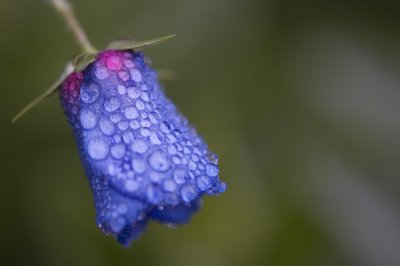 _MG_681720061112.jpg