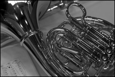 french horn - B & W