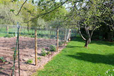 New Fence 