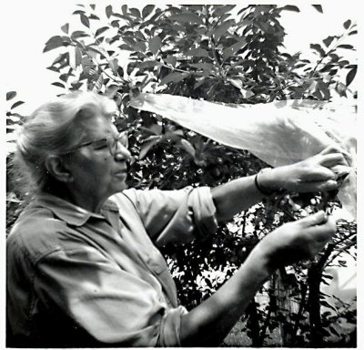 Grandma (Scanned from photo)