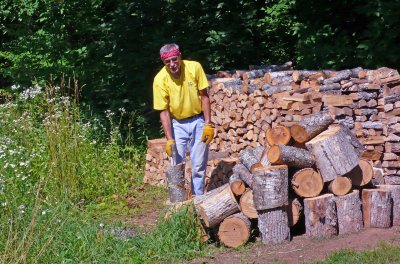 Wood Production