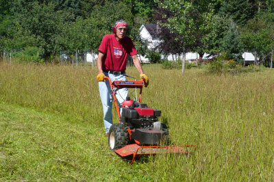 Fall Mowing 