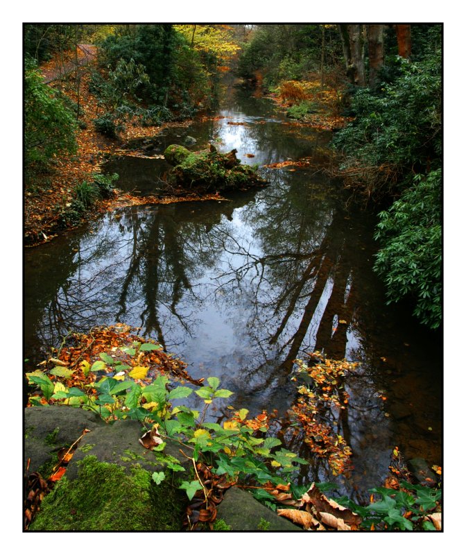 Jesmond dene stream.jpg