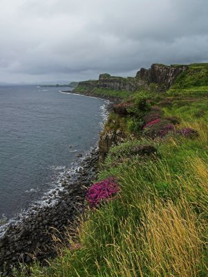 Skye coastline near kilt rock.jpg