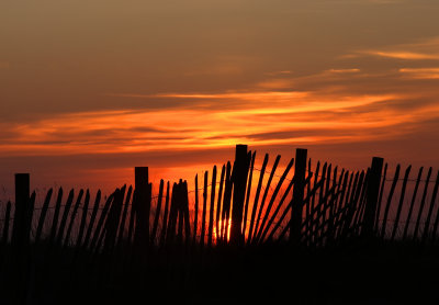 Sunrise fence.jpg