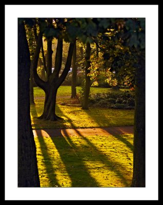 Early-autumn-in-thepark.jpg