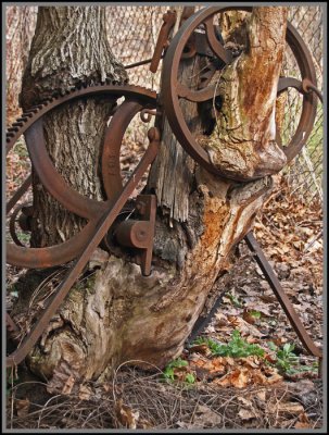 Gears in Tree