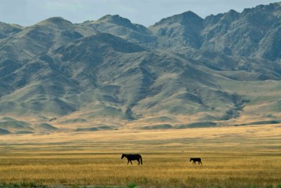 Kazakhstan