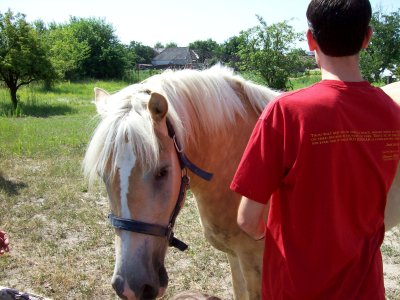 Jeff gets a bit close to the horse