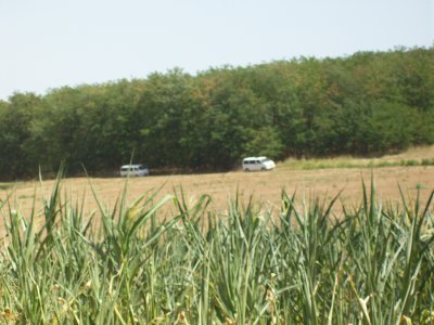 The great treck across the untamed wilds of Hungary begins