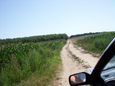 Where could we be going?