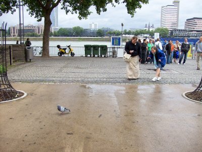 chasing pigeons in the park; as they say in Hungary, you are my sweet pigeon!