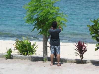 Kamunggay