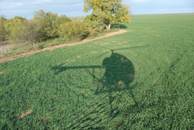 Shadow on the wheat.