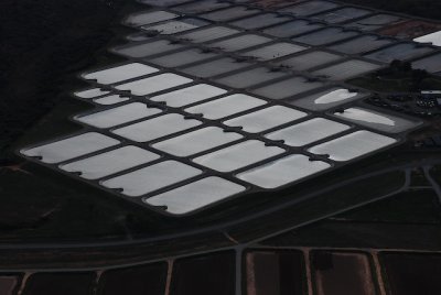 Each pond (one acre) holds thirty-thousand fish of various kinds.
