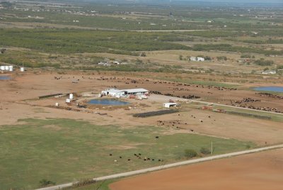 Feed lot.