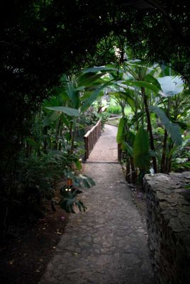 A path to the lodge.