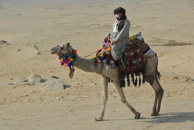 A Bedouin.