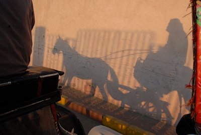 Carriage in Edfu.