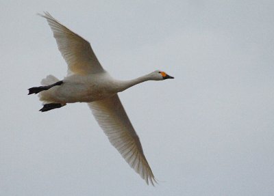 IMG_3616b.jpg
