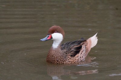 IMG_3396.jpg