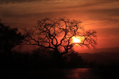 Sunrises & Sunsets of Kruger
