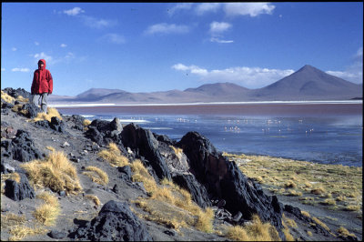 36_Laguna Colorada.jpg