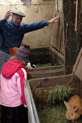 IMG_137407.jpg