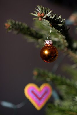 IMG_149661.jpg