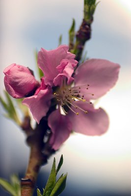 CRW_5387-225.jpg