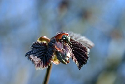 IMG_5628260.jpg