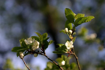 IMG_5757275.jpg