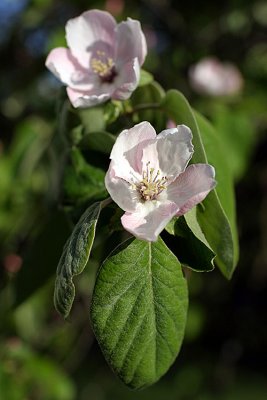 IMG_595210.jpg