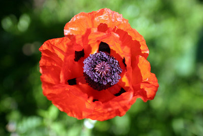 IMG_639337.jpg