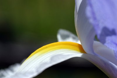 IMG_664950.jpg
