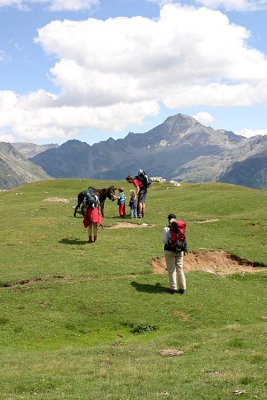 IMG_8018119.jpg