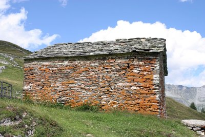 IMG_8066126.jpg