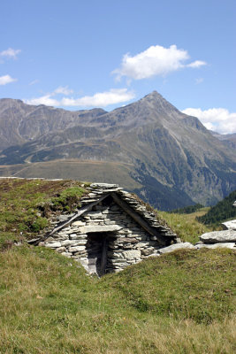 IMG_8666.jpg