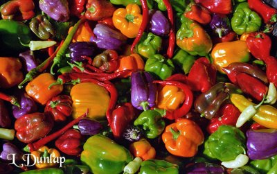 Peppers