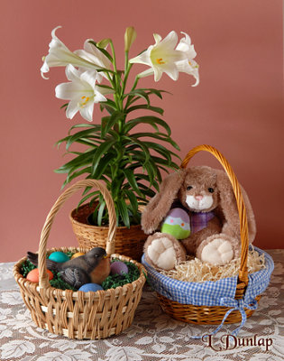 Easter Lily With Seasonally-Themed Baskets