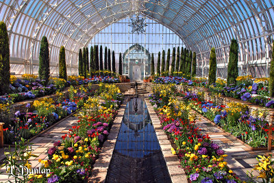 Como Park Conservatory, Spring Display 2007