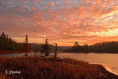 55 -  Interfalls Lake, Early Winter: Fire In The Sky