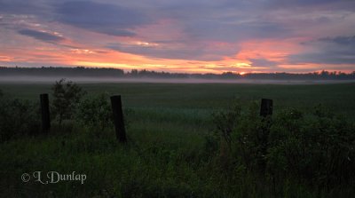 Sunrise And Mist Over Pasture