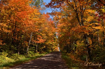 Fall Color Road, Grand Marais Area