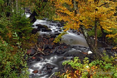 84.4 - Tait River: Autumn 2
